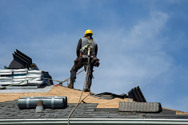Professional Storm Damage Roof Repair technician working in Belvidere, IL